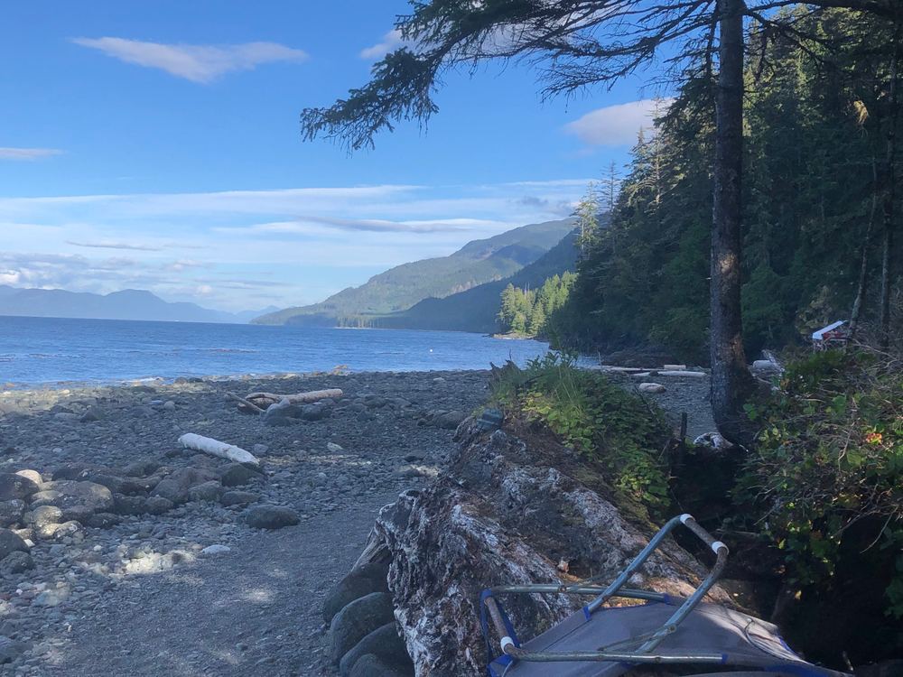 A cobble beach with driftwood under conifers, forested mountains across the water