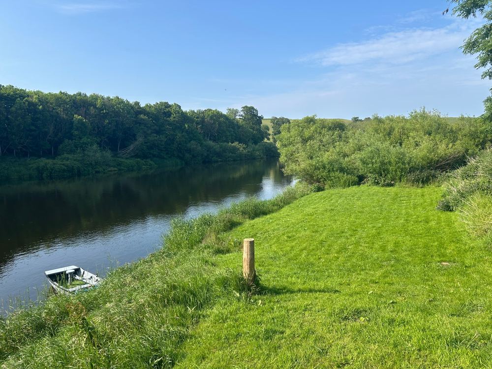 A calm river curving between wooded banks, a small rowboat moored in the reeds below a mown bank